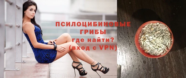 амф Шадринск