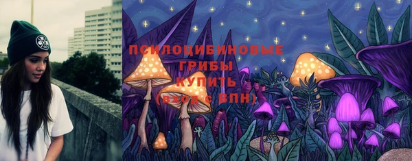 СК Вяземский