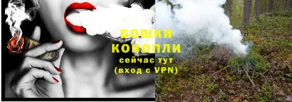 СК Вяземский