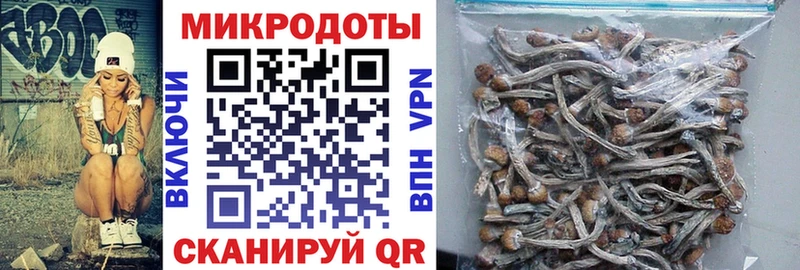 цена наркотик  Дно  Галлюциногенные грибы Cubensis 